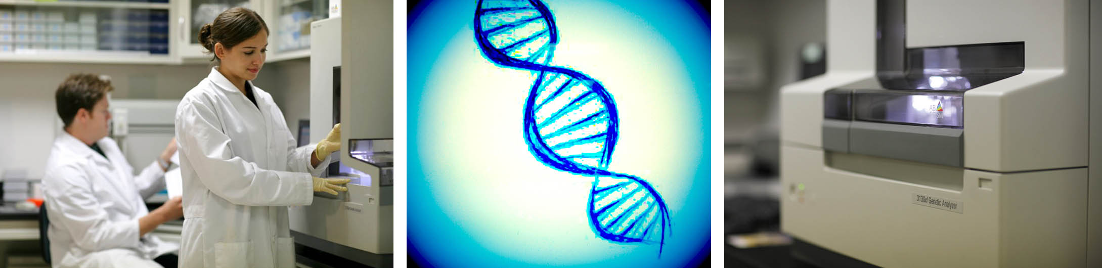 GenHunter DNA Sequencing Service images