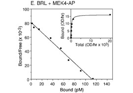 Receptor/Ligand Binding Assay using AP Assay Reagent A