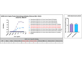 SARS-CoV-2 Spike Protein Neutralizing Antibody (Omicron BA.2 / BA.4/5), Mouse Monoclonal [MA106N-100 or MA106N-025]