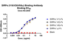 SIRPα (V1&V2&V8&γ) Binding Antibody, Mouse Monoclonal (Clone 29A9)  [MA403B-100 or MA403B-025]
