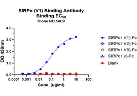 SIRPα (V1) Binding Antibody, Mouse Monoclonal (Clone 54C9)  [MA404B-100 or MA404B-025]