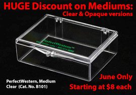 PerfectWestern Containers (for Whole blots)