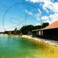 Cucumber Beach Water Swing