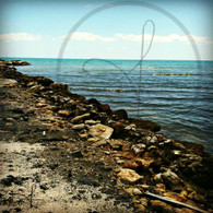 Cucumber Beach Sea Look Out