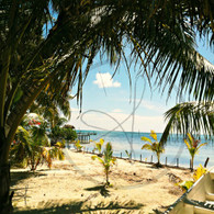 Caye Caulker Hidden Beach View