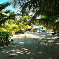 Caye Caulker Sandy Path