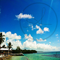 Caye Caulker The Split View