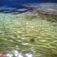 San Pedro Shimmering Caribbean