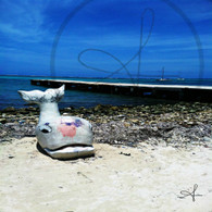 San Pedro Beached Whale