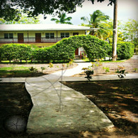 Black Orchid Sidewalk Paths