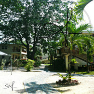 Black Orchid View of Guest Houses