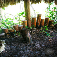 Bacab Short Bamboo Poles