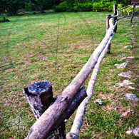 Bacab Wooden Pole Fence