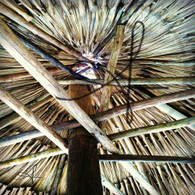 Bacab Inside Umbrella