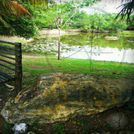 Bacab Rock by Pond