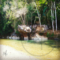 Caves Branch River Bank