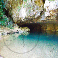 Caves Branch Archaeologial Reserve River Cave