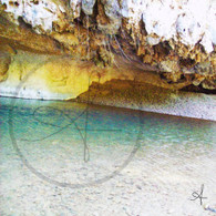 Caves Branch River View