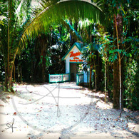 Caves Branch Ziprider Zip Line