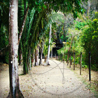 Caves Branch Excursion Nature Trail
