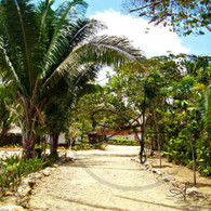 Caves Branch Zip Lining Path