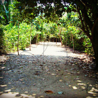 Caves Branch Path to Zip Line