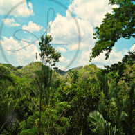 Belize Zip Line Tower Mountainous View
