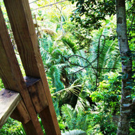 Belize Zip Line Tower Look Down