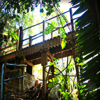 Belize Zip Line Platform Bridge
