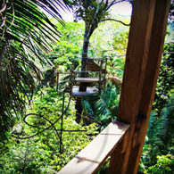Belize Zip Line Tower from Tower