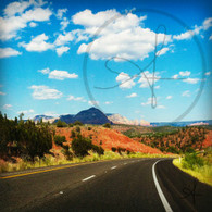 Arizona Highway Curve