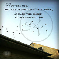 Flight of the Duck