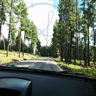 8000 FT Elevation in Arizona