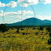 Kendrick Mountain Silhouette