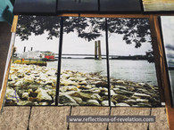 American Queen Wheel and Bridge Panels