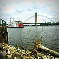 American Queen View from Rocks