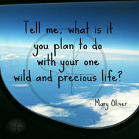 Wild Precious Life