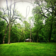 Crapo Park Swings