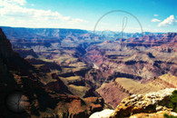 Grand Canyon and River Moran Point Postcard