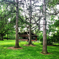 Crapo Skate House and Trees