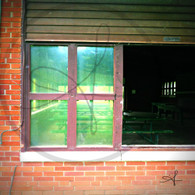 Crapo Skate House Window