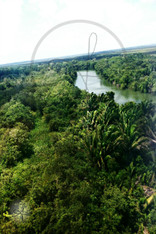 Belize River Postcard