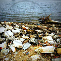 Rocks and River View