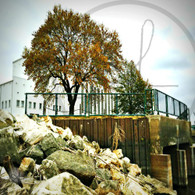 Memorial Auditorium View from Rocks