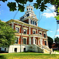 Courthouse Tower through Tree