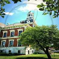 Courthouse and Tree