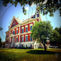 Courthouse View Trees