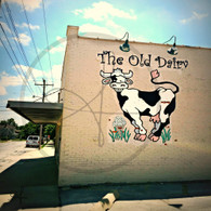 The Old Dairy Cow