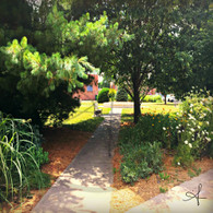 Shady Bench Sidewalk View