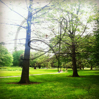 Crapo Path to Lake Starker